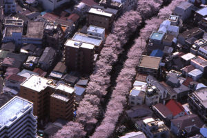 江戸川公園
