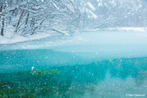 雪の五色沼　福島県　撮影/竹本りか
