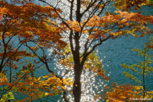 志賀高原　長野県　撮影/萩原れいこ