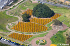 マリーゴールドの丘公園　埼玉県