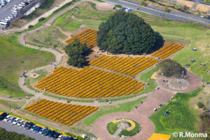 マリーゴールドの丘公園　埼玉県