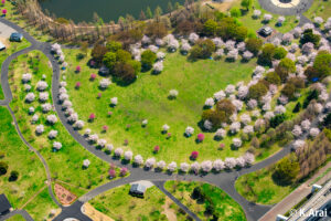 舎人公園　東京都