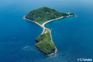 由利島　愛媛県